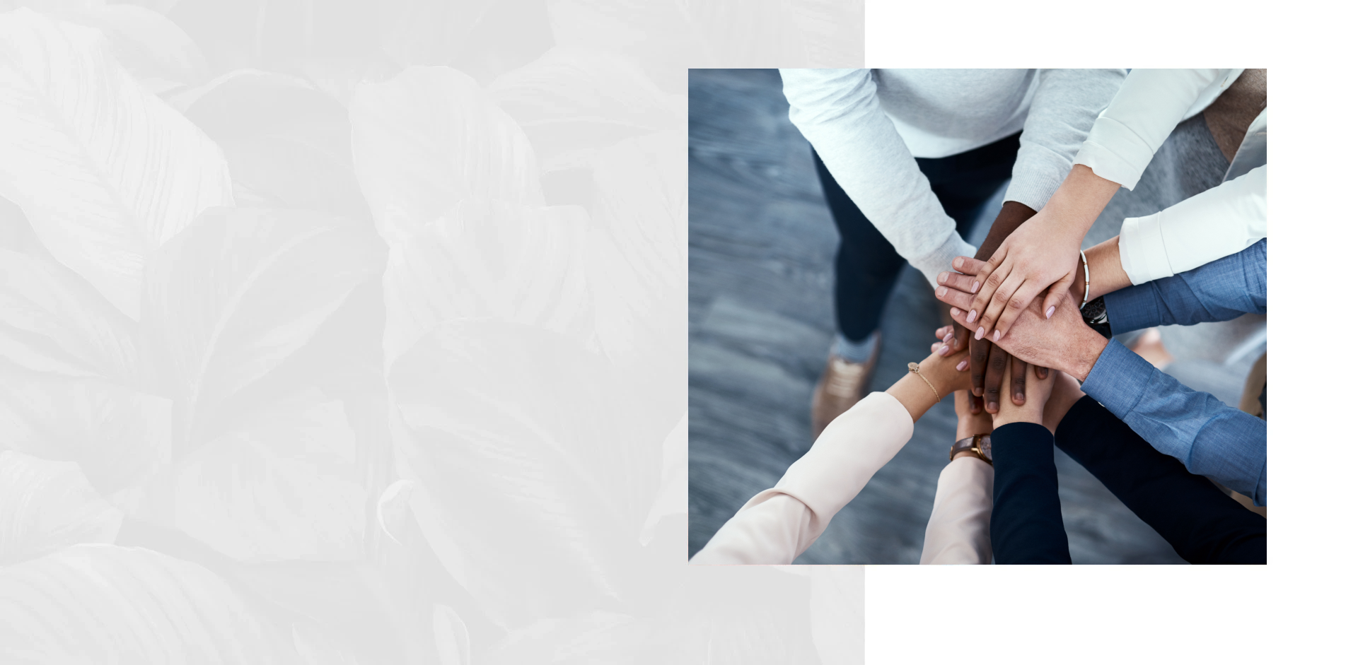 Allius Counselling and Family Mediation Services
 - Experienced Clinical Counsellor in Nanaimo, British Columbia